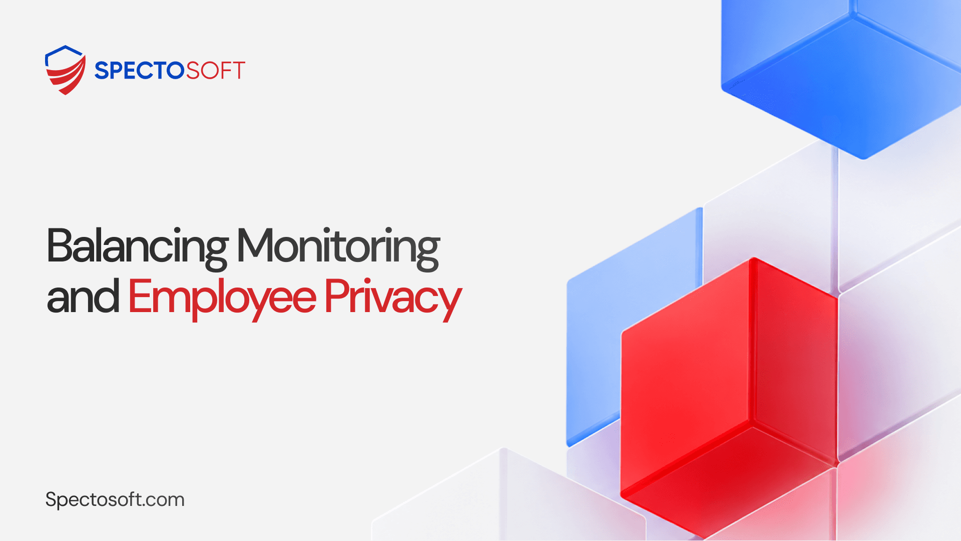 Balancing Monitoring and Employee Privacy
